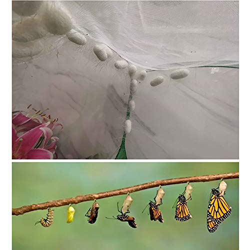 ZHOUJIE Recinto Profesional de Jaula de hábitat de Mariposas, terrario de Jaula de Malla Plegable emergente para orugas, Insecto Palo, Blanco