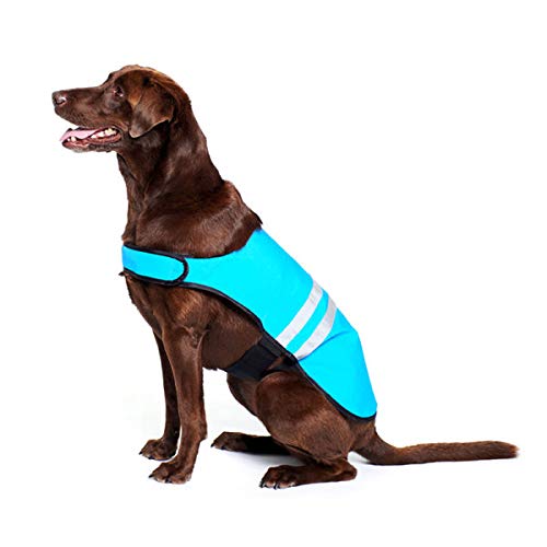 ZippyPaws - Chaleco de Seguridad para Perros con Rayas Reflectantes de Alta Visibilidad, Color Azul