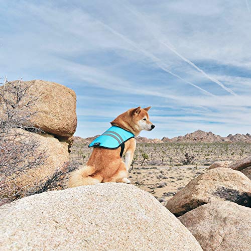 ZippyPaws - Chaleco de Seguridad para Perros con Rayas Reflectantes de Alta Visibilidad, Color Azul
