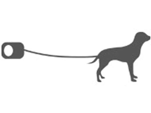 Zoofari Correa extensible para perros, máx. 5 metros, con función enrollable, parada y botón de bloqueo, color negro