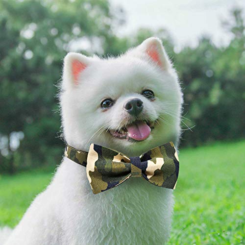 1A1A Collar Perro con Hermoso Lazo Ajustable Resistente Collar Cómodos con Clips de Metal Vert L