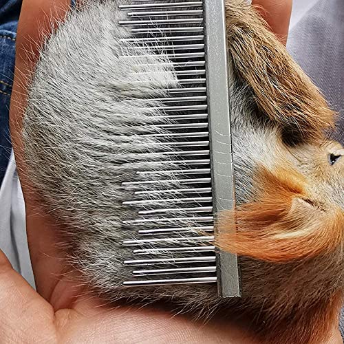 2 Peine de peluquería para mascotas pequeñas El peine de acero inoxidable de dientes largos y cortos es adecuado para conejos y cobayas para eliminar el pelo suelto y enredado (rojo y azul)