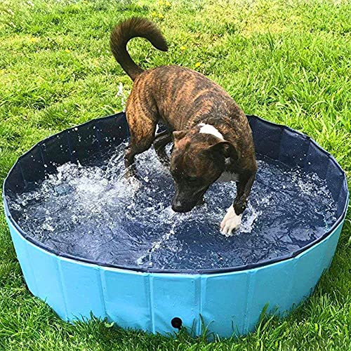 80cm PVC Piscina para Mascotas Bañera Plegable para Perros Baño de Agua portátil para Exteriores Productos de Limpieza para Gatos y Perros