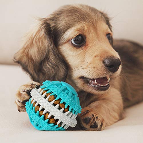 ABRRLO - Pelota de juguete para perros (ideal para masticar, no tóxico, resistente a las mordeduras, juego de ejercicios de limpieza de dientes, gatos y perros, color azul claro