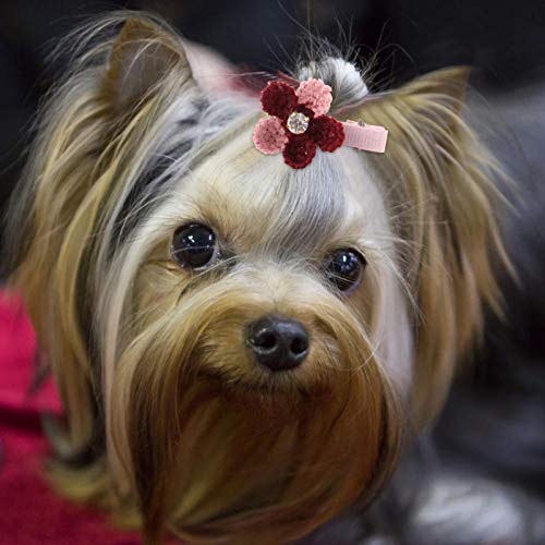 Accesorios para la cabeza del perro mascota, 10 Uds., Horquilla floral, horquilla para el pelo, accesorios para el cuidado del pelo para perros pequeños y bonitos para mascotas, suministros para fiest