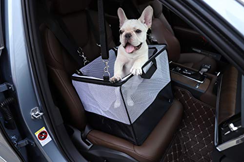 Amazon Basics - Transportín y asiento de coche para mascotas, tamaño pequeño, portátil