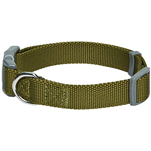 Amazon Brand - Umi Classic - Collar para Perros S, Cuello 30-40 cm, Collares Ajustables para Perros (Verde Oliva)