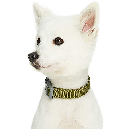 Amazon Brand - Umi Classic - Collar para Perros S, Cuello 30-40 cm, Collares Ajustables para Perros (Verde Oliva)