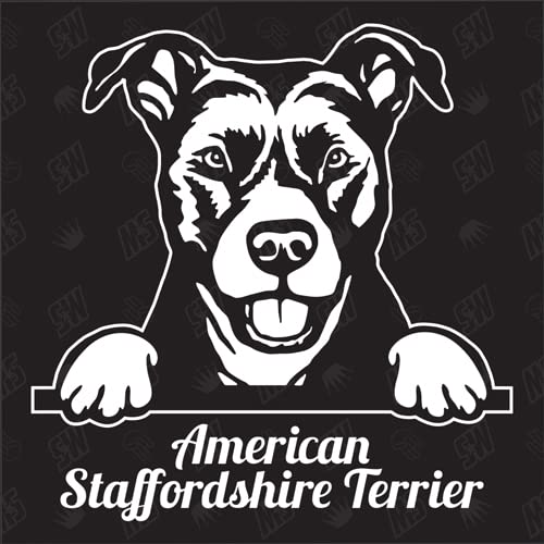 American Staffordshire Terrier Versión 2 - pegatina, pegatina para perro, coche, perro, coche, razas de perros, pegatina, mestizo, mezcla, animales, mascota (TAMBIÉN POSIBLE CON DESEADO)
