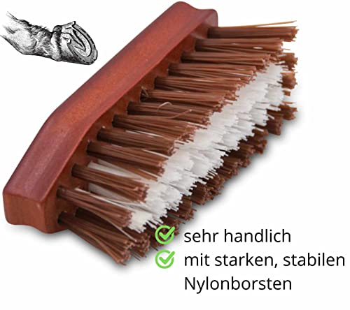 AMKA Cepillo para pezuñas clásico con parte trasera de madera natural, cerdas de alta calidad
