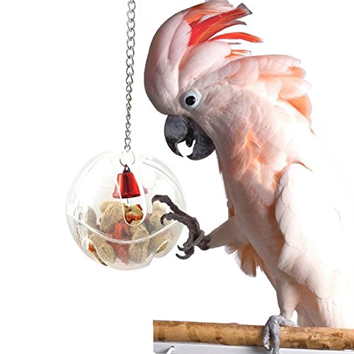 Aquir Loros Bola Juguetes Alimentador de Alimentos Colgando, Jaula Birds Bell Forrajeo Juguete Plástico No con Cadenas