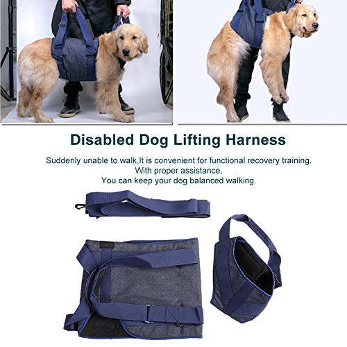 Arnés de soporte para perros, tela Oxford Arnés de soporte para perros Ayuda para caminar Arnés portátil para perros viejos y heridos(XS)