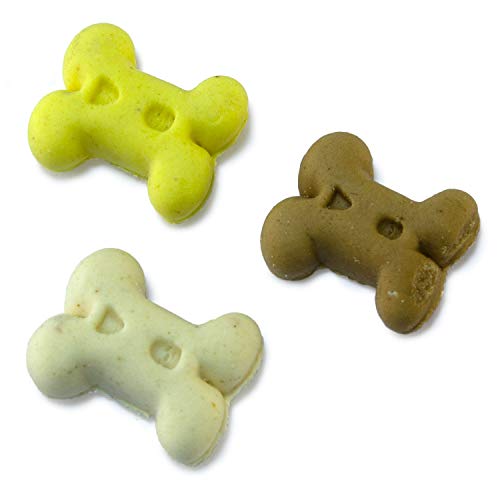 Arquivet Biscuits - Galletas para perros - Mini huesos de vainilla - 1 kg