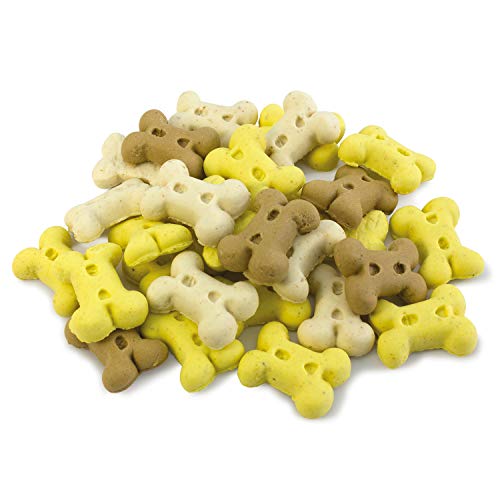 Arquivet Biscuits - Galletas para perros - Mini huesos de vainilla - 1 kg