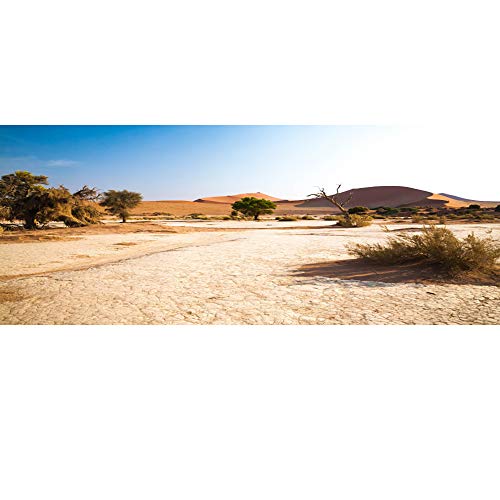 AWERT Fondo de terrario de vinilo duradero de 120 x 50 cm, color azul, montaña, enorme cactus gobi sol y desierto, hábitat de reptil (no pegatina)