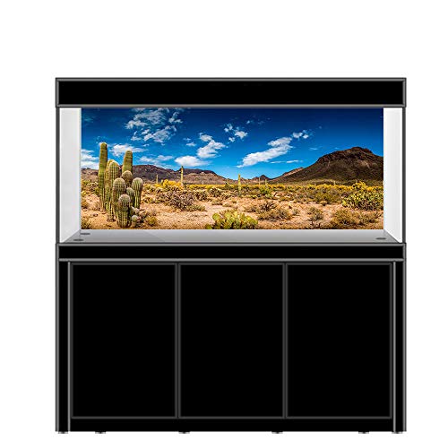 AWERT Fondo de vinilo duradero de 120 x 50 cm para hábitat de reptiles azul cielo oasis cactus desierto terrario fondo (no adhesivo)
