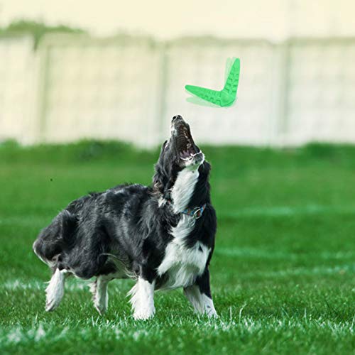 Balacoo 2 Piezas Juguetes para Perros Boomerang Juguetes Resistentes a Las Mordeduras Juguetes Interactivos para Perros Suministro de Juguetes de Entrenamiento para Mascotas Al Aire Libre
