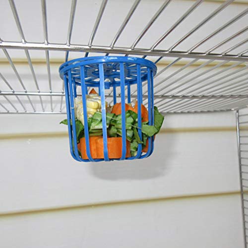 Balacoo 5 Piezas Alimentador de Pájaros Cesta de Comida Pincho para Frutas y Verduras para Pájaros Herramienta para Alimentar a Loros, Periquitos Cacatúas