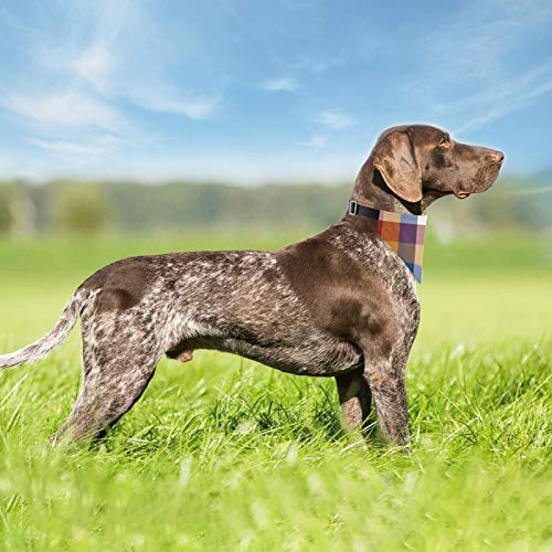 Bandana para perro con hebilla ajustable, elegante Escocia escocesa collar de perro triangular bufanda lavable para perros pequeños medianos grandes 2011506