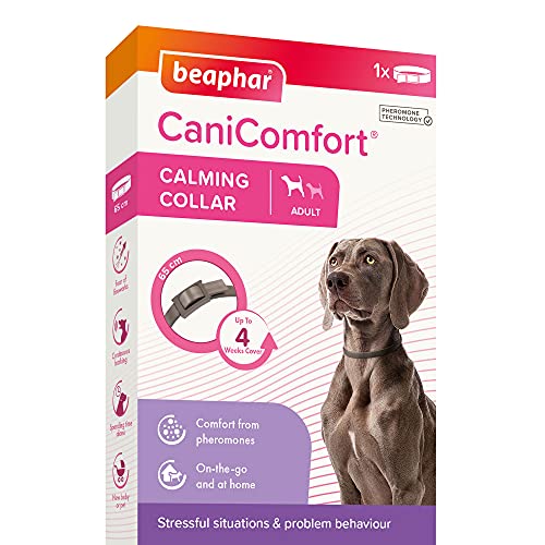 Beaphar CaniComfort - Collar calmante, Adulto 65 cm