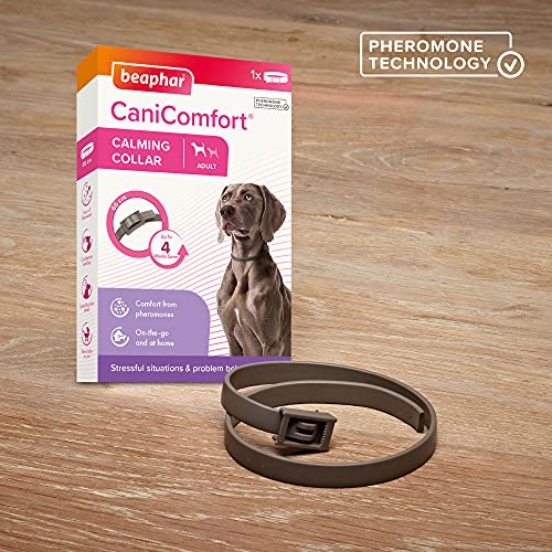 Beaphar CaniComfort - Collar calmante, Adulto 65 cm