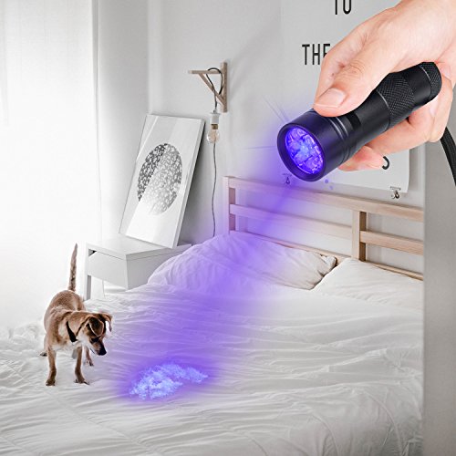 Beinhome Linterna UV de luz negra [5 unidades], lámpara UV, detector de orina para mascotas, manchas de orina seca de perro y gato, detector de billetes falsos (incluye pilas)
