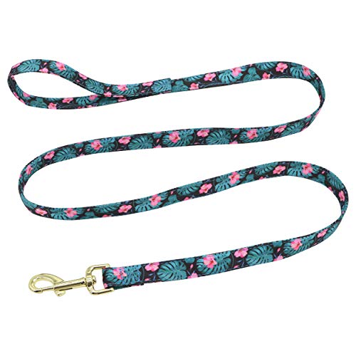Beirui Collar de perro y plomo personalizado para perros femeninos, diseño floral grabado collares para mascotas con hebilla dorada personalizada (patrón verde, S)