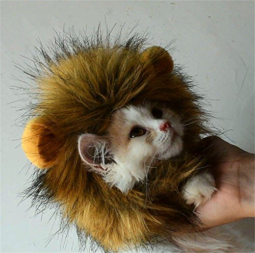 Bello Luna Lion Mane para Gato y Perro pequeño Disfraz de Gato Fancy Lion Hair para Halloween Christmas-S