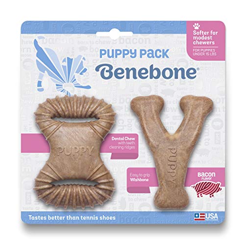 Benebone Puppy Tiny 2-Pack Durable Dental Chew/Wishbone for Aggressive Chewers, Real Bacon