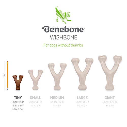 Benebone Puppy Tiny 2-Pack Durable Dental Chew/Wishbone for Aggressive Chewers, Real Bacon