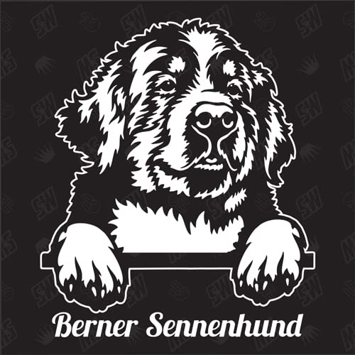 Berner Sennenhund Versión 4 - pegatina, pegatina de perro, pegatina de coche, perro, coche, razas de perros, pegatina, mestizo, mezcla, animales, mascota (TAMBIÉN POSIBLE CON DESEADO)