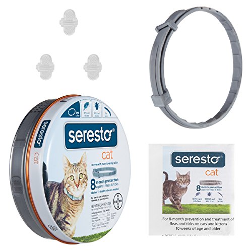 BEST COLLAR Best Collection - Collar para gatos con diseño de seresto y pulgas para todo tipo de pesos, 8 meses de protección