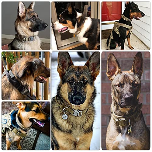 BHWXXMM Collar de Perro táctico, Collar de Nailon Ajustable, Hebilla y Mango de Metal Resistente para Perros medianos y Grandes, Collar de Perro de Entrenamiento táctico al Aire Libre