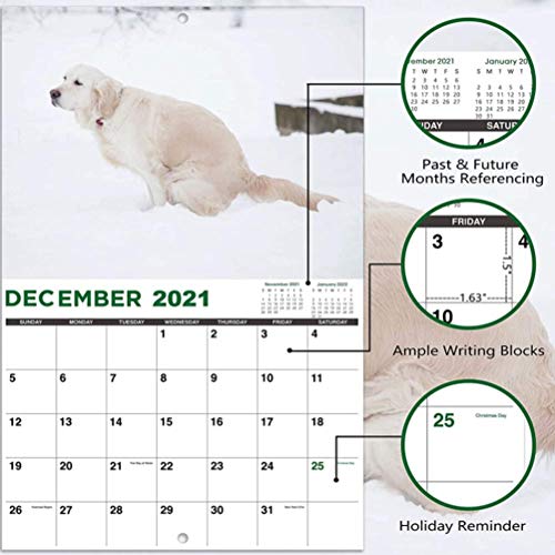 Bireegoo Calendario de pared para perros 2021, calendario divertido para perros 2021, calendario de pared para perros de enero 2021 a diciembre 2021, calendario divertido para amigos y vecinos