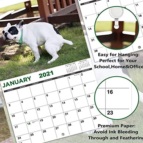 Bireegoo Calendario de pared para perros 2021, calendario divertido para perros 2021, calendario de pared para perros de enero 2021 a diciembre 2021, calendario divertido para amigos y vecinos