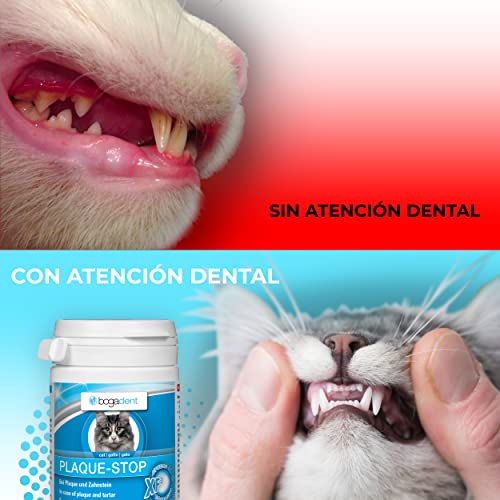 Bogadent Plaque-Stop - Polvo para Cuidado Dental Gatos, para Eliminación de Sarro & contra Mal Aliento, Limpia e Cuida Dientes, Higiene Bucal Gato, Limpieza Dental Gato, 70g