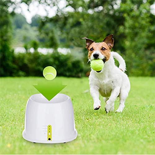 bola automática perro interactivo lanzador lanzador pista de mascota para el entrenamiento y de juego 3 pelotas de tenis incluyendo la distancia de lanzamiento 3m 20 pies 30 pies
