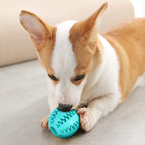 Bolas de Goma para Perros,Bola de Limpieza de Dientes 2PCS Juguetes para Perros Mascotas Bolas Juguetes Interactivos para Morder Perro (Verde y Azul)