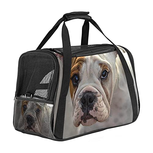 Bolsa de Transporte para Mascotas Bulldog inglés Transportadora para Gato Bolsa de Viaje para Mascotas Plegable de Transporte en Tren Auto Avión 43x26x30 cm