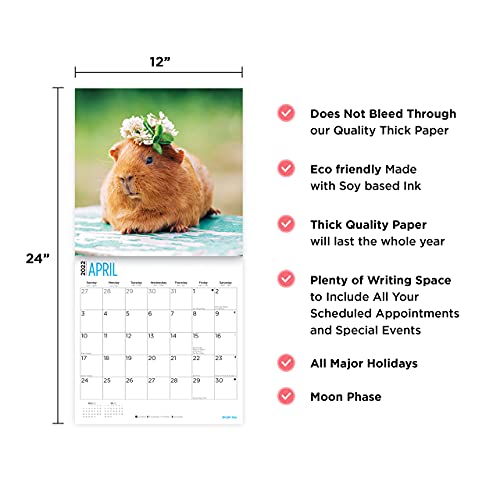 Bright Day - Calendario de pared para conejillos de indias 2022, 30,5 x 30,5 cm, lindo animal peludo mascota