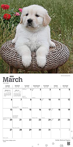 Calendario de pared cuadrado mensual de 2022 de StarGifts, con cubierta estampada y pegatinas de animales de StarGifts, razas de perros y cachorros
