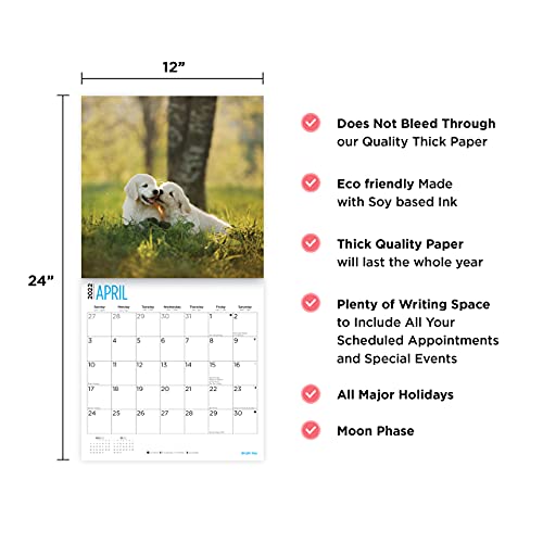 Calendario de pared Golden Retriever 2022 por Bright Day, 12 x 12 pulgadas, lindo perro