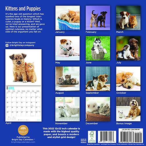 Calendario de pared para gatitos y cachorros 2022 por Bright Day, 12 x 12 pulgadas, lindo perro cachorro gato