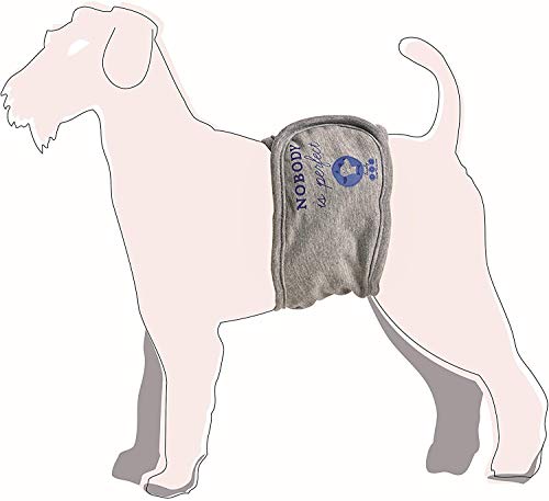 CAMON We love pets Faja de incontinencia para Perros -Blue- Size 2 - Accesorios, Complementos, Juegos y Comida para Mascotas