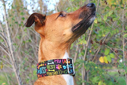 candyPet® Collar Martingale para Perros - Modelo Best Friend, M