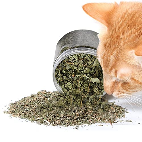 Catnip orgánico natural 40g - Menta de gato premium - Hierba de gato fuerte grado A, fina y libre de impurezas, sin tallos Ejercicio de recarga, juguete natural para gatos
