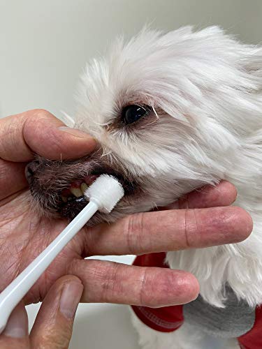 Cepillo de dientes para perros fácil de usar fabricado en Japón Kenko care por Mind Up (CCCCCCCCCCÓN)