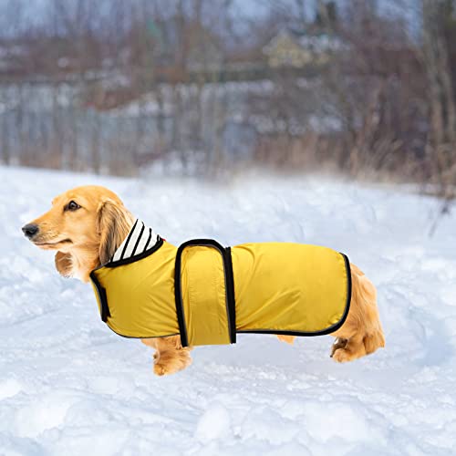Chubasquero para perro Morezi, cortaviento e impermeable, con tiras reflectantes y cinturón ajustable, apto para perros salchicha-amarillo-L