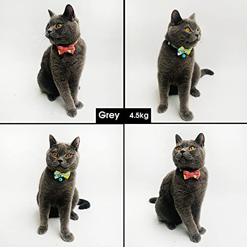 Cognatio Pack de 2 collares de gato con pajarita extraíble y campana, collares de seguridad de liberación rápida, ajustables de 20 a 30 cm, color rojo limón + azul