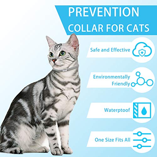 Collar Antiparasitario Gatos, 35cm Ajustable Collares Antipulgas para Gatos, 100% Naturales Antiparasitarios Gatos Collar, 8 Meses de Protección para Gatos, Repelen Eficazmente Piojos, Pulgas